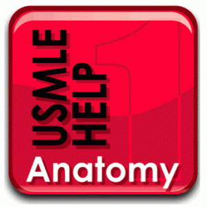 USMLE Help Step 1 Anatomy